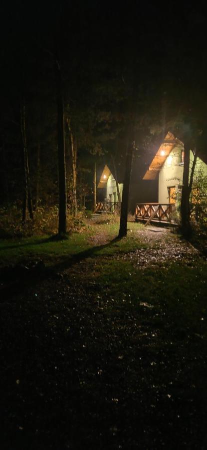 Villa Niezapominajka-Jura à Niegowa Extérieur photo